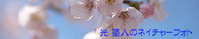 f0160440_1851249.png