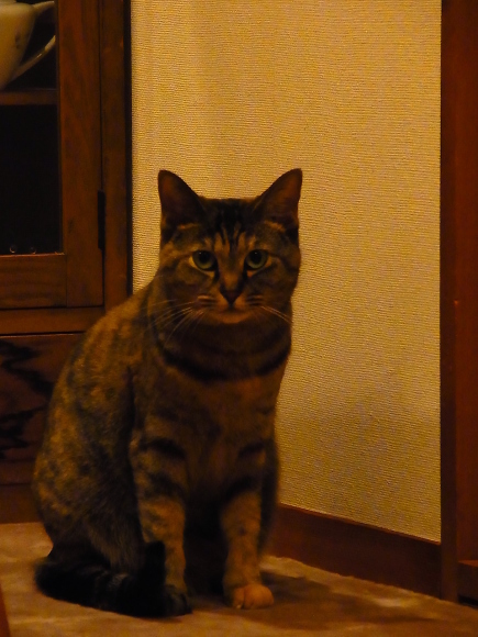 a0305046_09250579.jpg