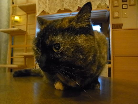 a0305046_09260551.jpg