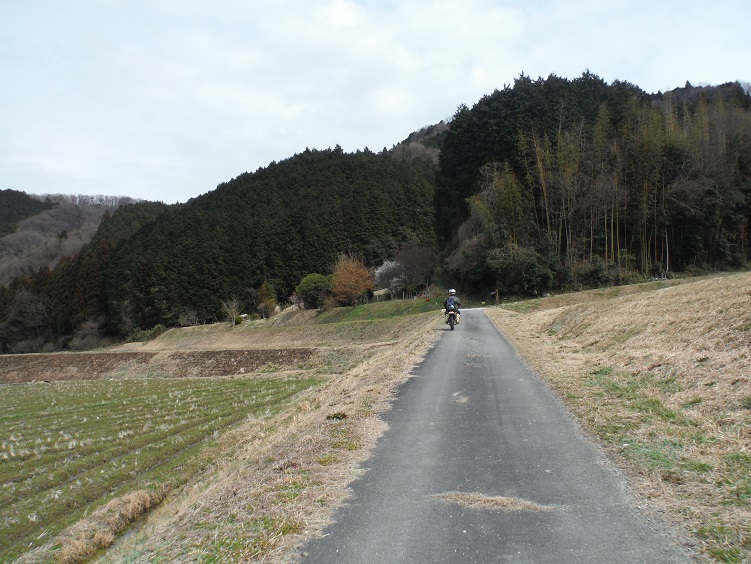 a0237349_1229236.jpg