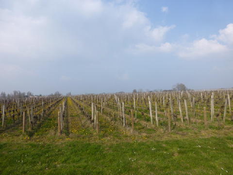 b0296855_02074717.jpg