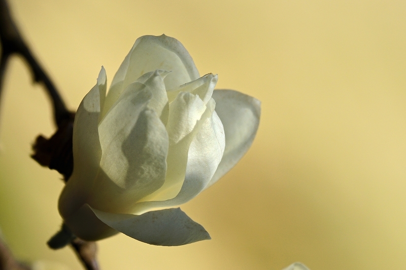 e0229455_00403548.jpg