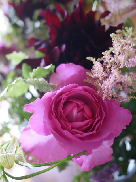 c0008664_2211020.jpg