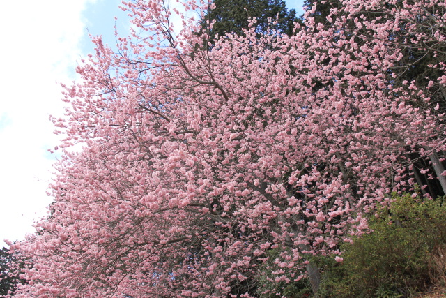b0055171_14133473.jpg