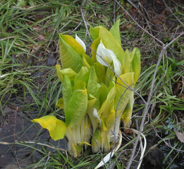 d0321585_12261567.jpg