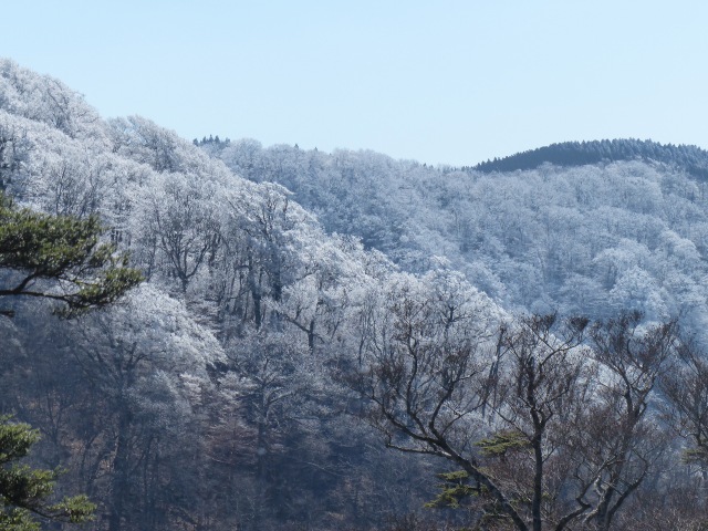 f0357487_8525042.jpg