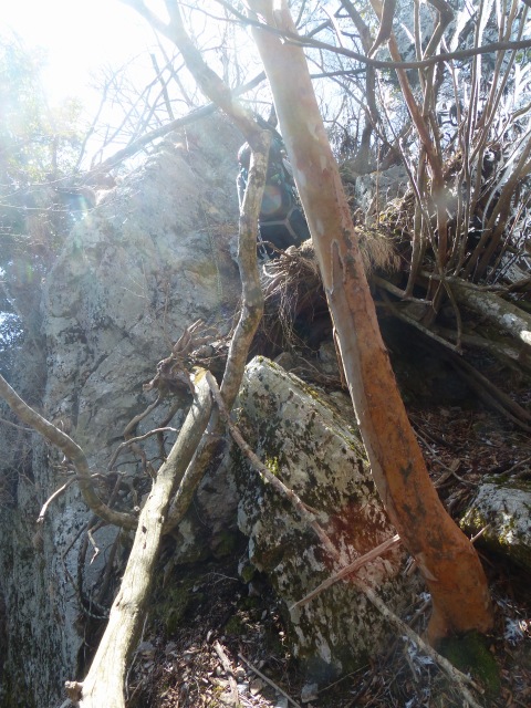 f0357487_857577.jpg