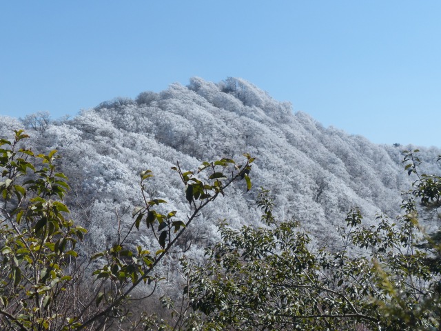 f0357487_8583853.jpg