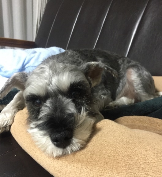 b0188998_22431645.jpeg