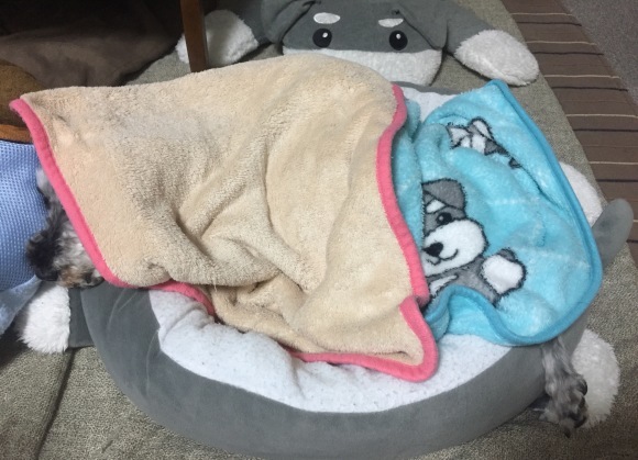 b0188998_22435869.jpeg
