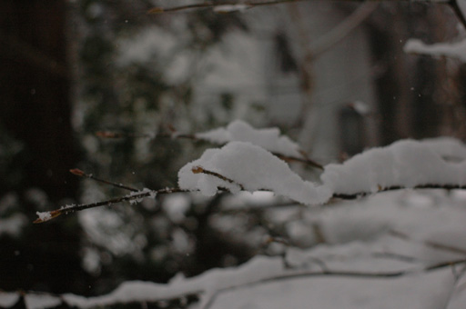 a0061599_7444473.jpg
