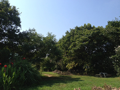 a0201204_14103338.jpg