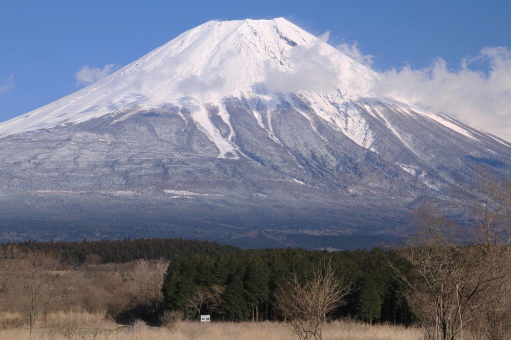 a0188405_21063156.jpg