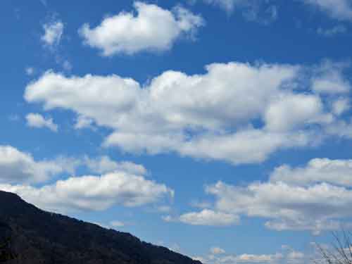 e0001110_9334082.jpg