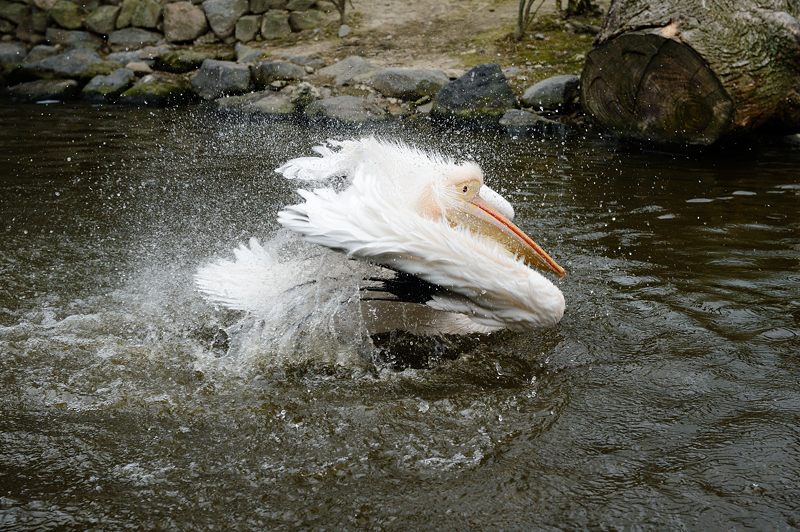 f0032011_20224330.jpg