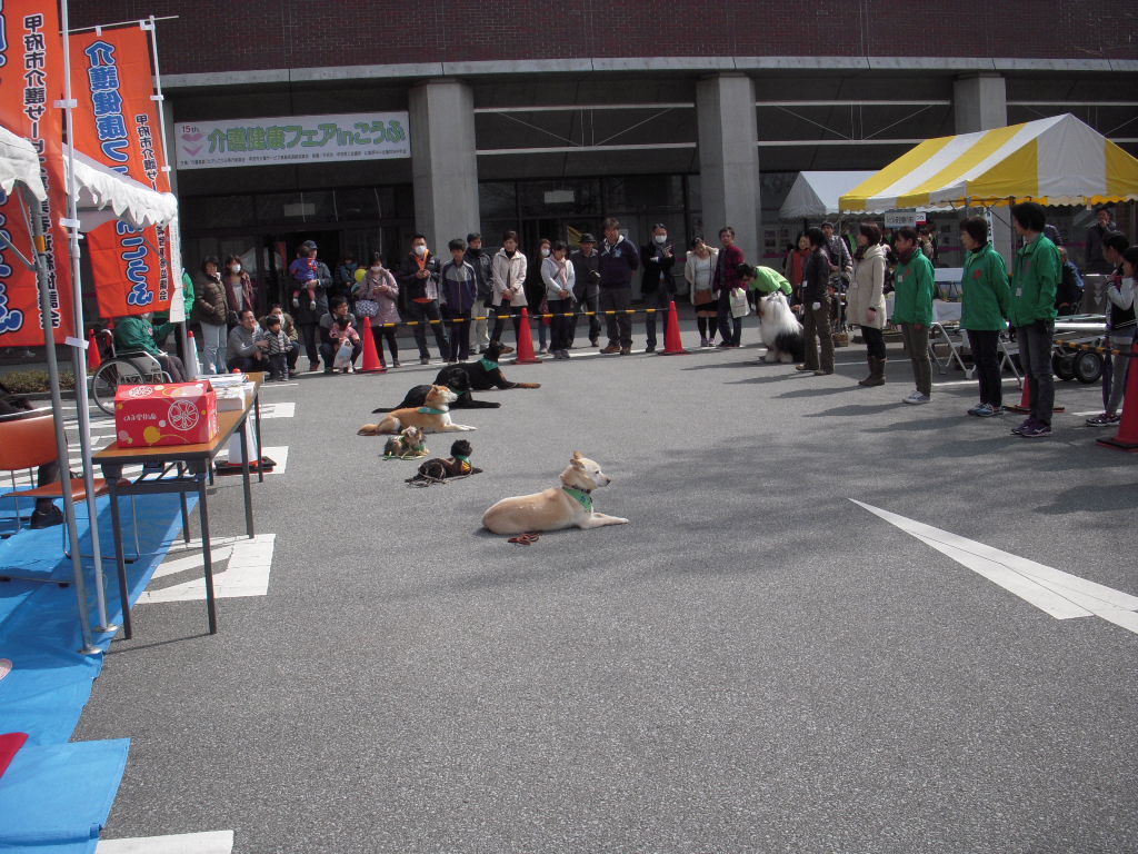 c0114833_1120367.jpg