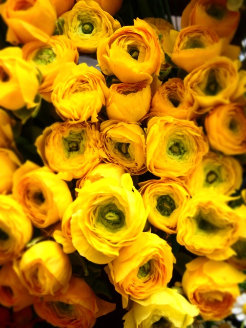 c0059063_7564232.jpg