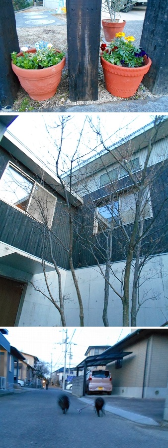 e0002466_19421951.jpg