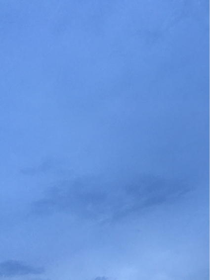 a0339467_17441795.jpg