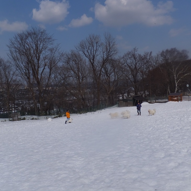 b0102267_14135615.jpg