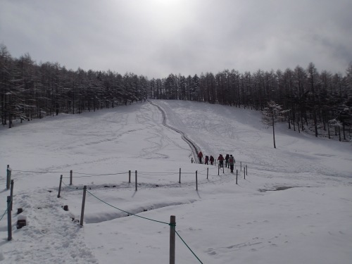 c0321967_21224550.jpeg