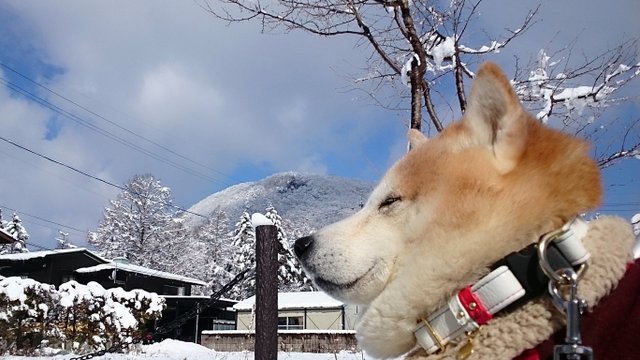 b0274270_1232559.jpg