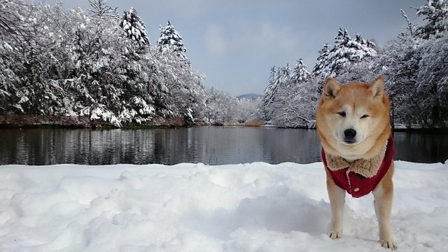 b0274270_12351514.jpg