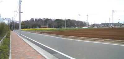 c0112172_2435840.jpg