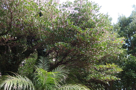 e0292172_20511741.jpg