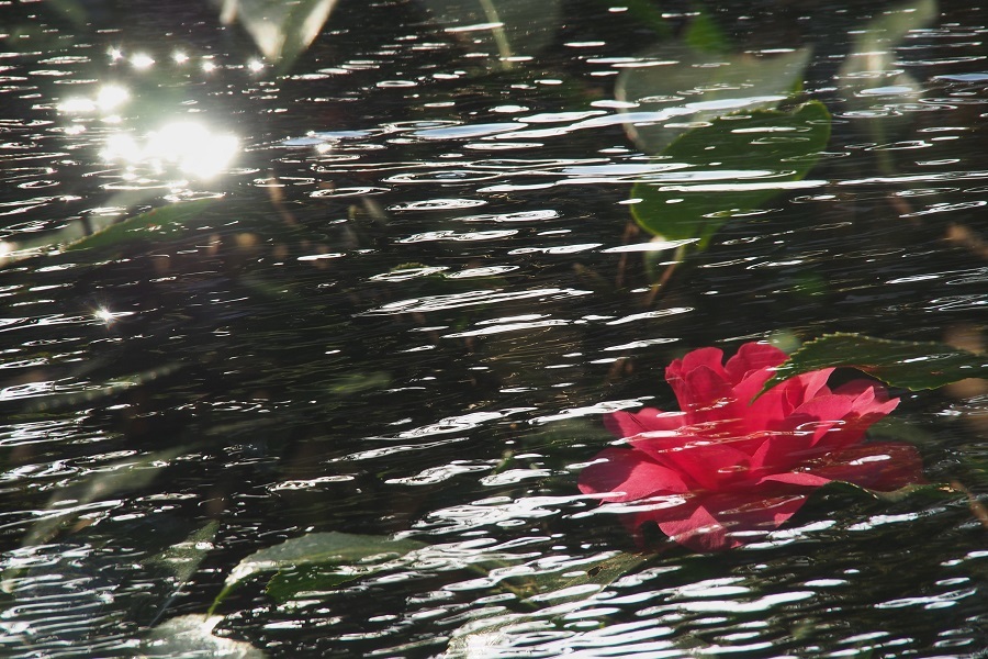 f0188274_08521150.jpg