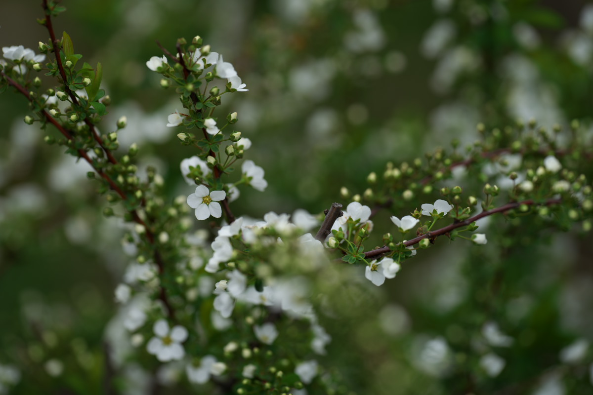 a0083081_2216497.jpg