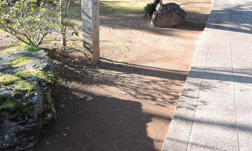 b0029488_1649137.jpg