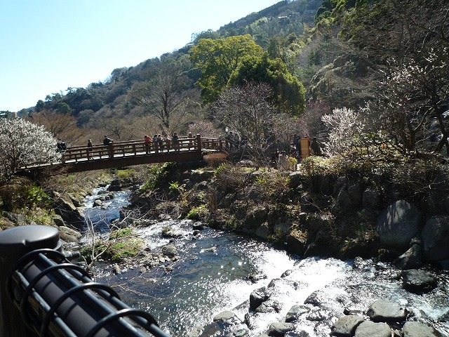 b0287088_17563562.jpg
