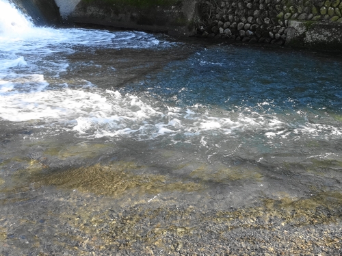 d0212491_1810229.jpg