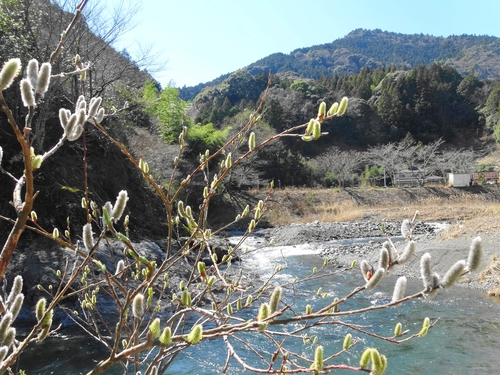 d0212491_1814431.jpg