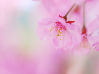 f0201297_00284362.jpg
