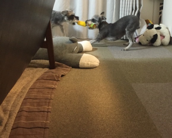 b0188998_23330843.jpeg