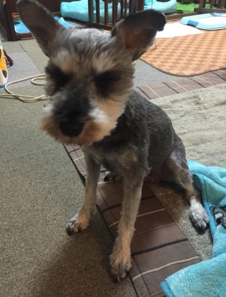 b0188998_23335927.jpeg