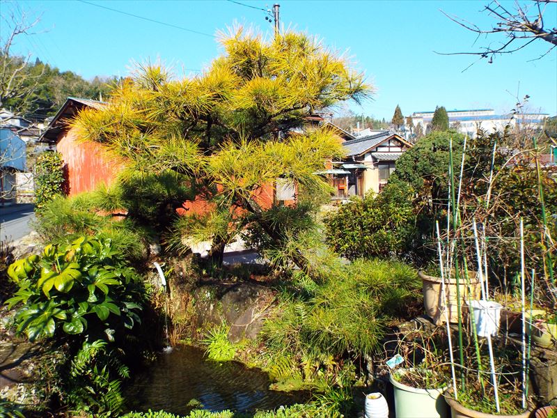 c0108198_1862619.jpg