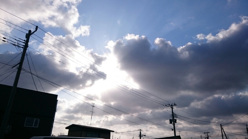 d0149105_7535970.jpg