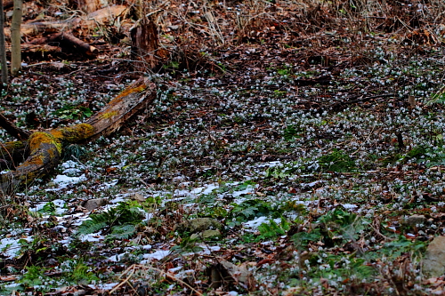 a0251508_2315425.jpg