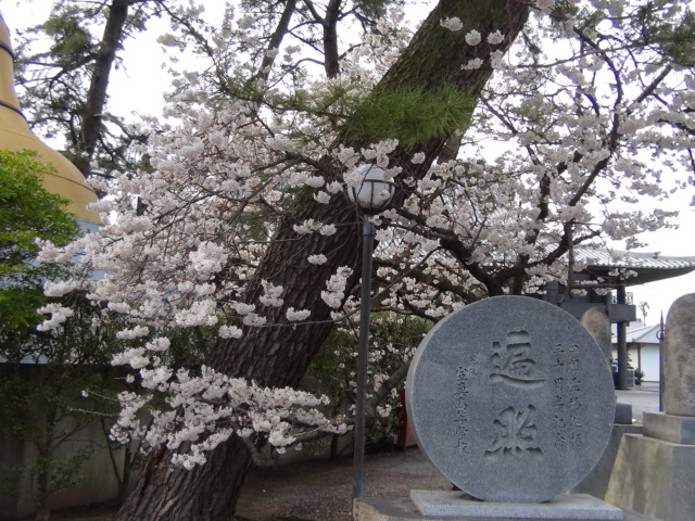 f0231709_22421094.jpg