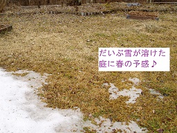 b0200310_9351777.jpg