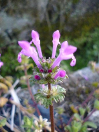 f0228619_9333016.jpg