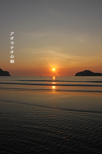 d0042827_3425682.jpg