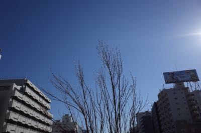 f0132230_9314641.jpg