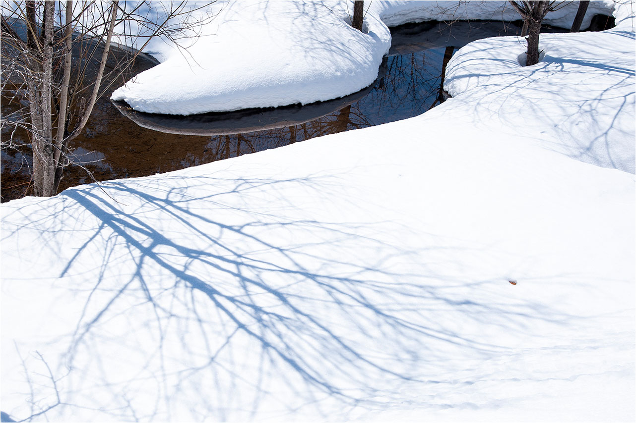 a0245331_1931661.jpg