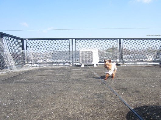 f0002833_11131290.jpg