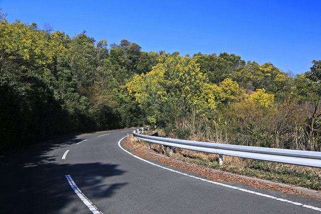 a0242438_20311236.jpg
