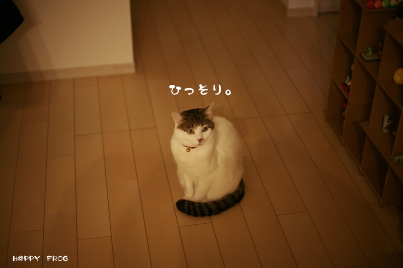 f0032042_20101343.jpg